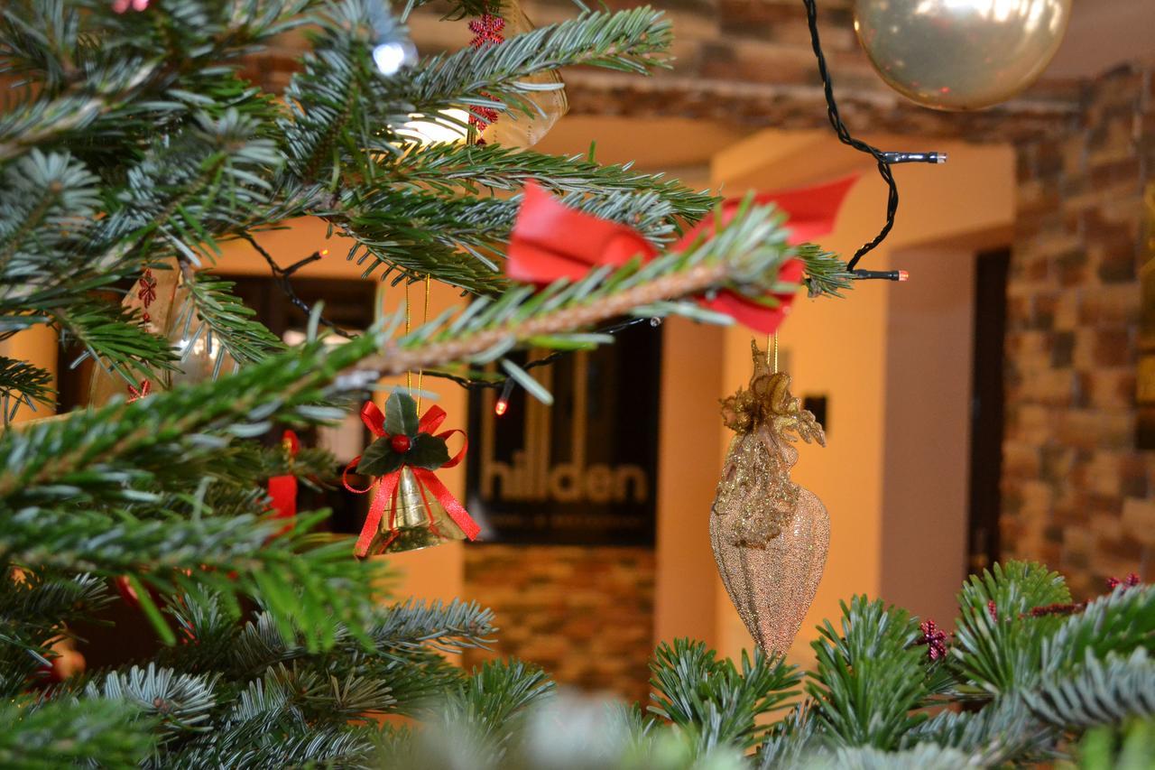 Hotel Hillden Lodge&Restaurant Drumu Carului Eksteriør billede